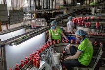 vietnams tea producer giant seeks 3 billion to become the next red bull
